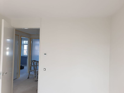 renovliesbehangers